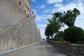 corse 024